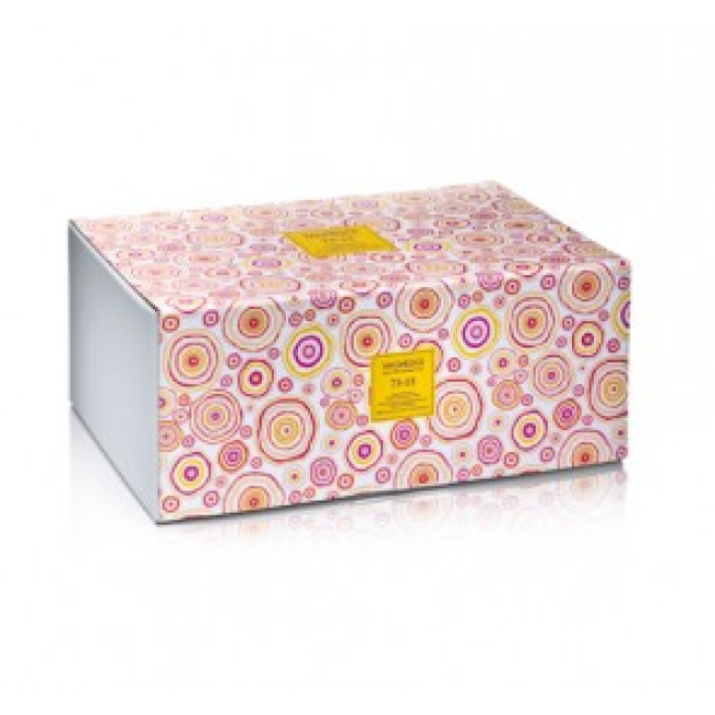 Vagheggi 7515 Line Professional Treatment Kit 6 sessions Vagheggi 7515 Line Professional Treatment Kit 6 sessions
